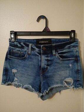 Avery Distressed Light Blue Denim Jean Shorts